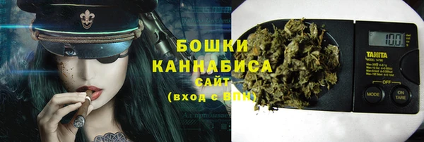 шишки Алзамай