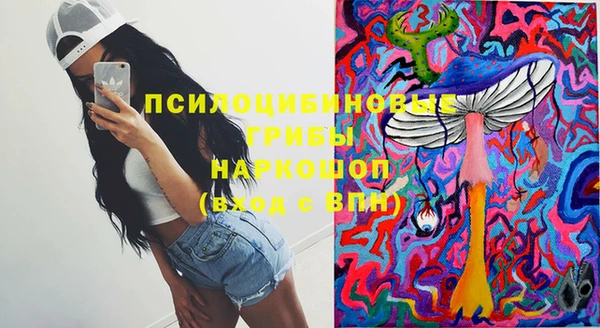 ГАЛЛЮЦИНОГЕННЫЕ ГРИБЫ Армянск