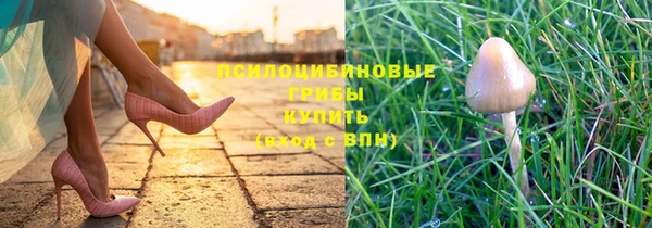 шишки Алзамай