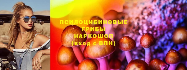 спиды Арсеньев