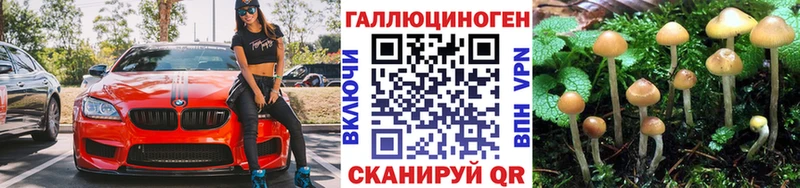 Галлюциногенные грибы Psilocybine cubensis  где можно купить наркотик  Чистополь 