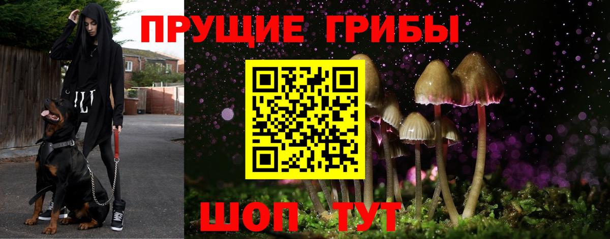 Галлюциногенные грибы мицелий  Вход с VPN  Чистополь 